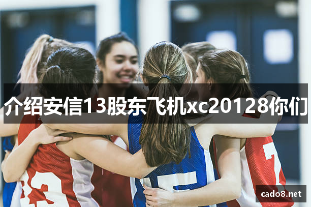 介绍安信13股东飞机xc20128你们